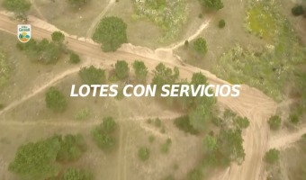 PROGRAMA LOTES CON SERVICIOS: SOLICITUD DE INFORMACIN A INSCRIPTOS